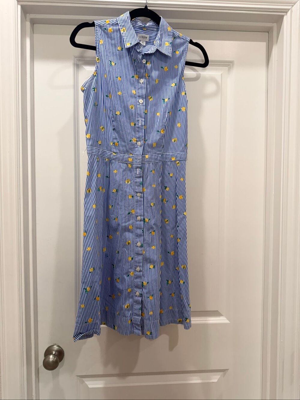 J.Crew Blue Stripe Lemon Print Sleeveless Button Front Shirt Dress Size 2 Boho